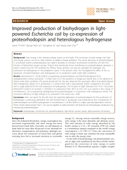 powered Escherichia coli by co-expression of proteorhodopsin and