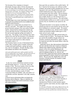 Most sport fish are members of the sunfish family. Of