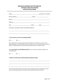 MOKR foster fillable - Michigan Orphan Kitten Rescue