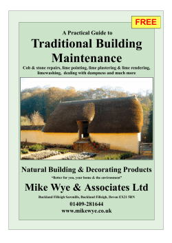 Traditional Building Maintenance
