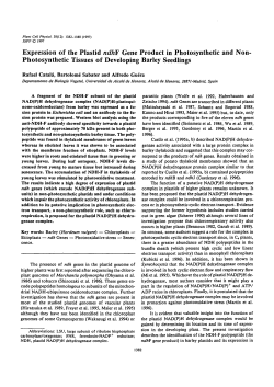 Expression of the Plastid ndhF Gene Product in Photosynthetic and
