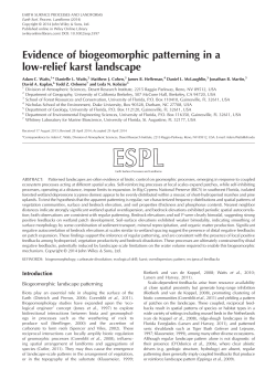 Evidence of biogeomorphic patterning in a lowrelief karst landscape