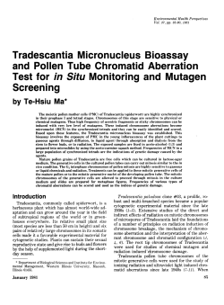 Tradescantia Micronucleus Bioassay