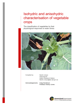 Isohydric and anisohydric characterisation of