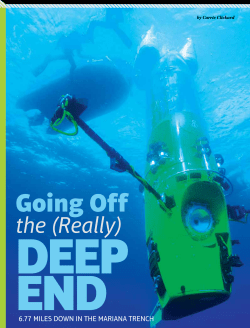 Going Off - Cricket Media
