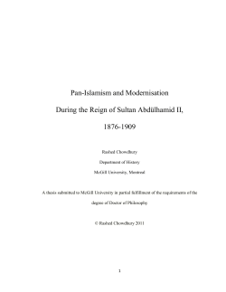 Pan-Islamism and Modernisation During the