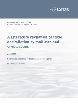 Literature review on particle assimilation by molluscs an
