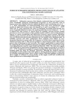 as a PDF