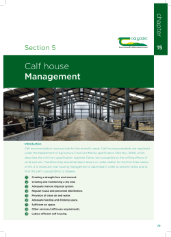 Calf house Management