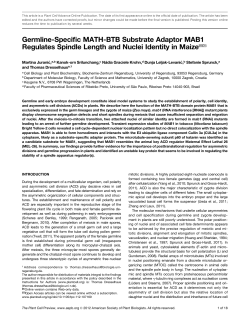 Germline-Specific MATH-BTB Substrate Adaptor