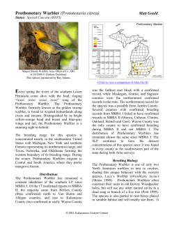Prothonotary Warbler - Michigan Breeding Bird Atlas