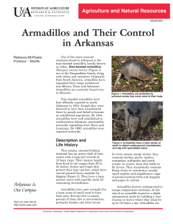 Armadillos and Their Control in Arkansas - FSA-9109