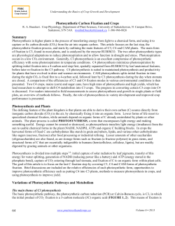 64 Photosynthetic Carbon Fixation and Crops Summary