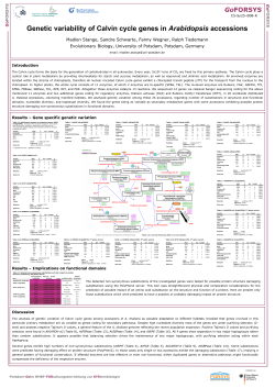 Genetic variability of Calvin cycle genes in Arabidopsis accessions