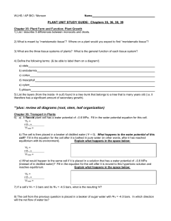 plant unit study guide