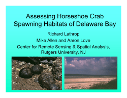 Assessing Horseshoe Crab Spawning Habitats of Delaware Bay