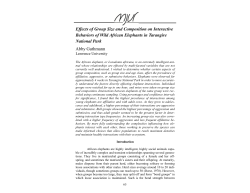 Effects of Group Size and Composition on Interactive Behaviors of