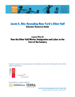 Jacob Riis Lesson Plan 3: Immigration and Labor