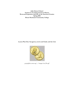 Julia Stitson Fehmel Seminar in Teaching American History