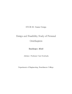 Design and Feasibility Study of Personal Ornithopters