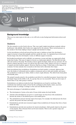 Teaching ideas - Assets - Cambridge University Press