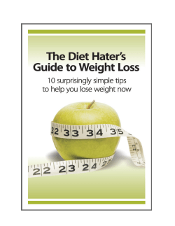 Diet-Haters-Guide-ebook - Take It Off Weight Loss Program