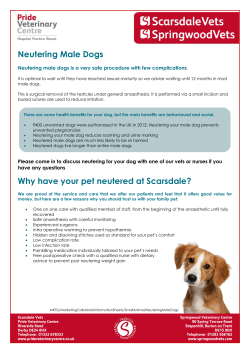 Neutering Male Dogs Why have your pet neutered at Scarsdale?