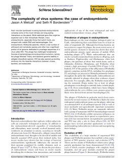 The complexity of virus systems: the case of endosymbionts