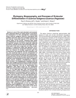 Phylogeny, Biogeography, and Processes of