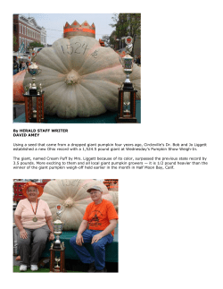 2007 Record Pumpkin - Circleville Pumpkin Show