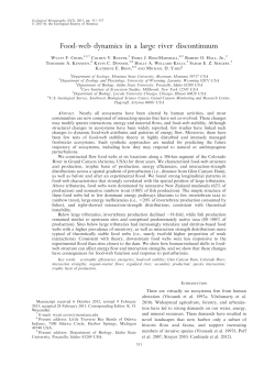 Food-web dynamics in a large river discontinuum