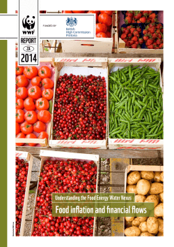 Food inflation and financial flows