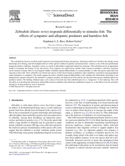 Zebrafish (Danio rerio) responds differentially to stimulus fish: The
