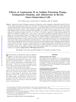 Effects of Angiotensin on Sodium Potassium Pumps