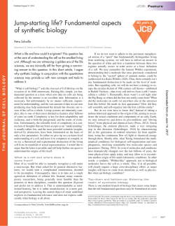 Jump-starting life? Fundamental aspects of synthetic biology