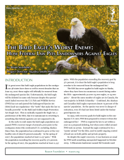 tHE bAlD EAGlE`s WoRst ENEmY