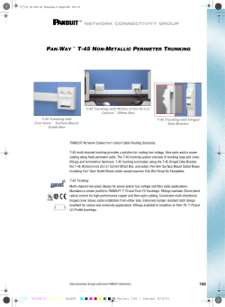PAN-WAY &trade; T-45 NON-METALLIC PERIMETER TRUNKING