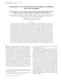 Contribution of Growth and Cell Cycle Checkpoints to