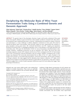 Deciphering the Molecular Basis of Wine Yeast Fermentation Traits