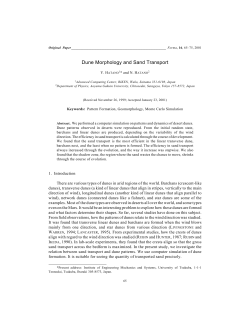 Dune Morphology and Sand Transport