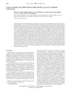 Cation Association with Sodium Dodecyl Sulfate Micelles As Seen