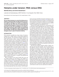 Hairpins under tension: RNA versus DNA