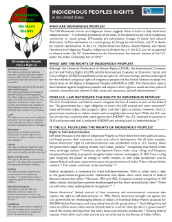 Rights of Indigenous Peoples in the United States Fact Sheet