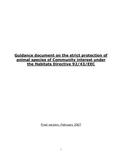 Guidance document on the strict protection of animal species of