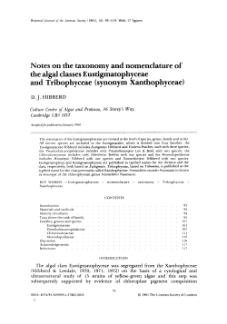Notes on the taxonomy and nomenclature of the algal classes