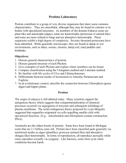 Protista Laboratory