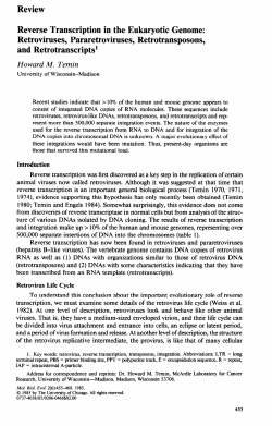 Review Reverse Transcription in the Eukaryotic Genome
