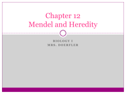 Chapter 8 Mendel and Heredity