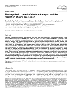 Photosynthetic control of electron transport and