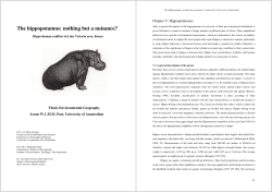 The hippopotamus - Post in Africa.com